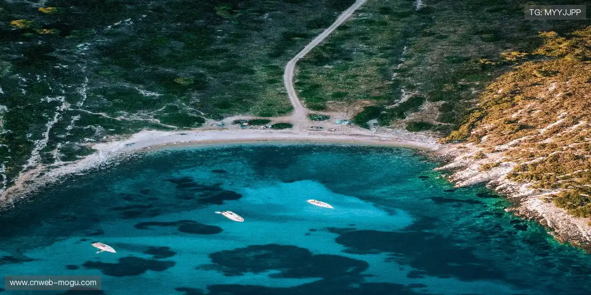 肌肉记忆的韵律，谱写胜利交响曲。🌌 🌄